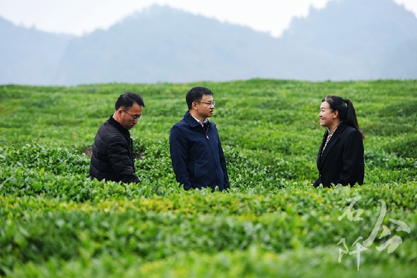 躬身為橋 緊盯供需連接山海 ——記廣東省粵黔協作工作隊銅仁工作組石阡小組組長,，石阡縣委常委、副縣長李浩泉